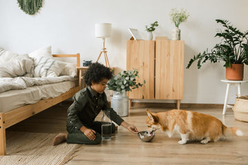 The Complete Pet Care Routine: Feeding, Grooming, Bathing, and Beyond