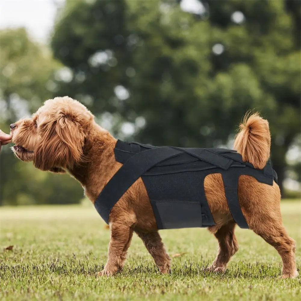 Adjustable Dog Back Support Vest