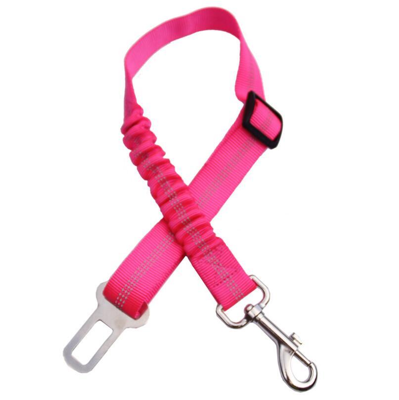 SafeRide™ Car Leash