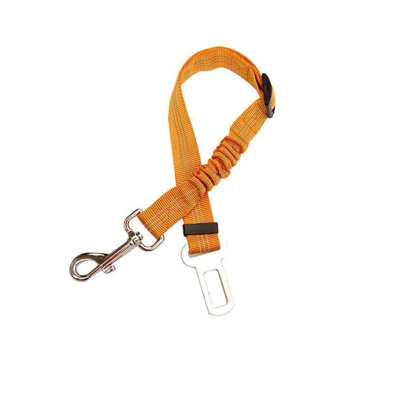 SafeRide™ Car Leash