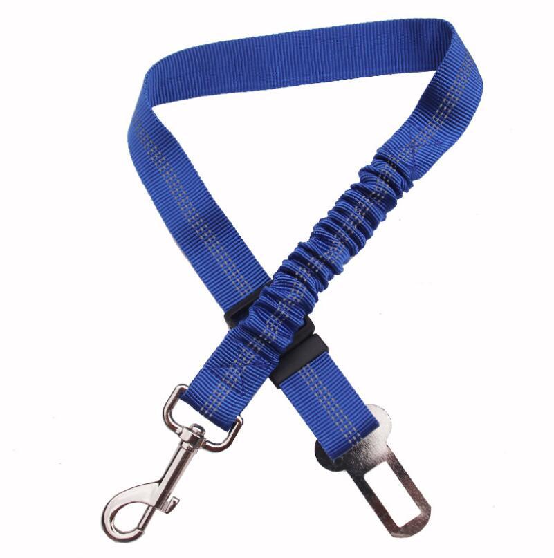 SafeRide™ Car Leash