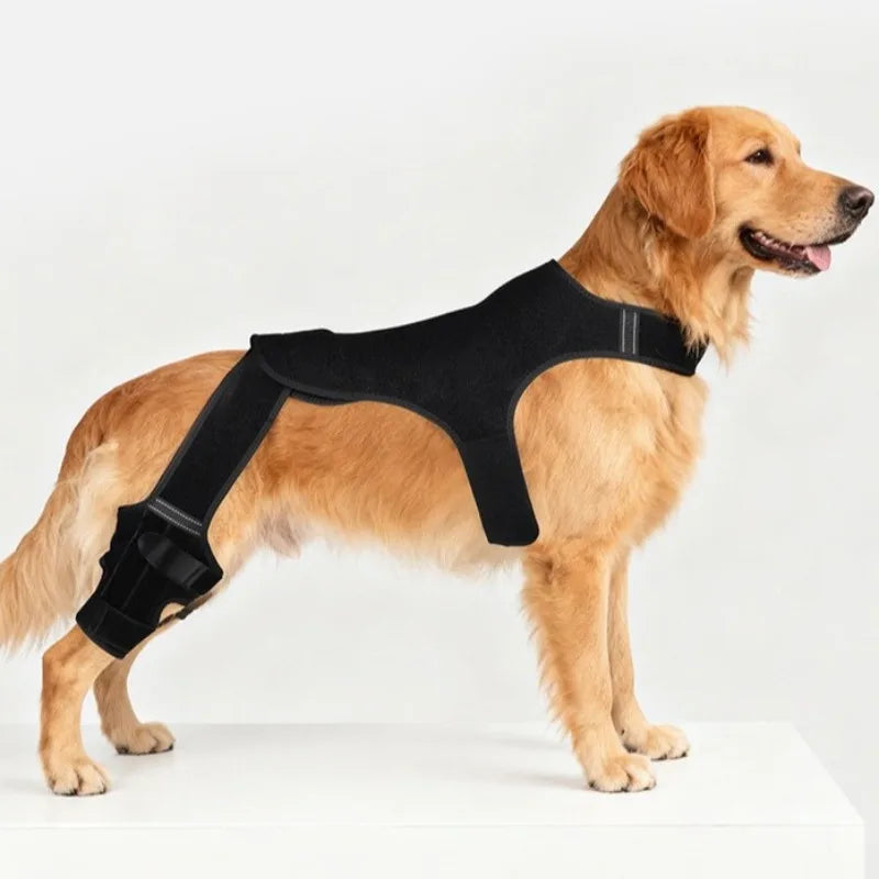 Dog Rear Leg Support Brace