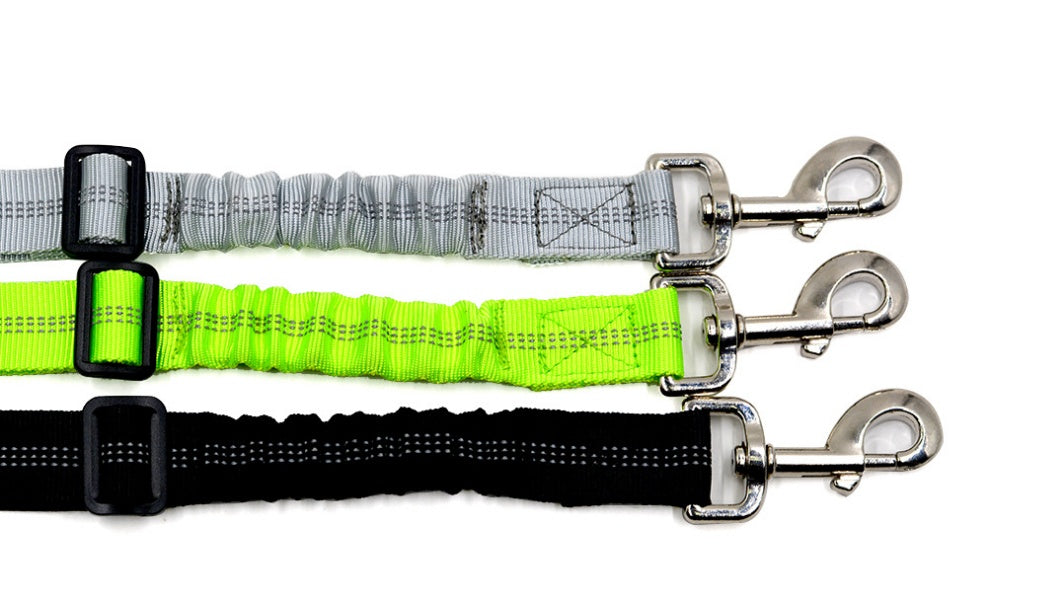 SafeRide™ Car Leash