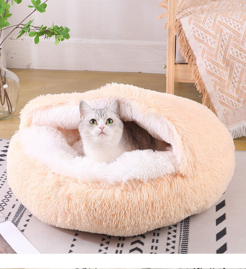 DreamCloud™ Plush Bed