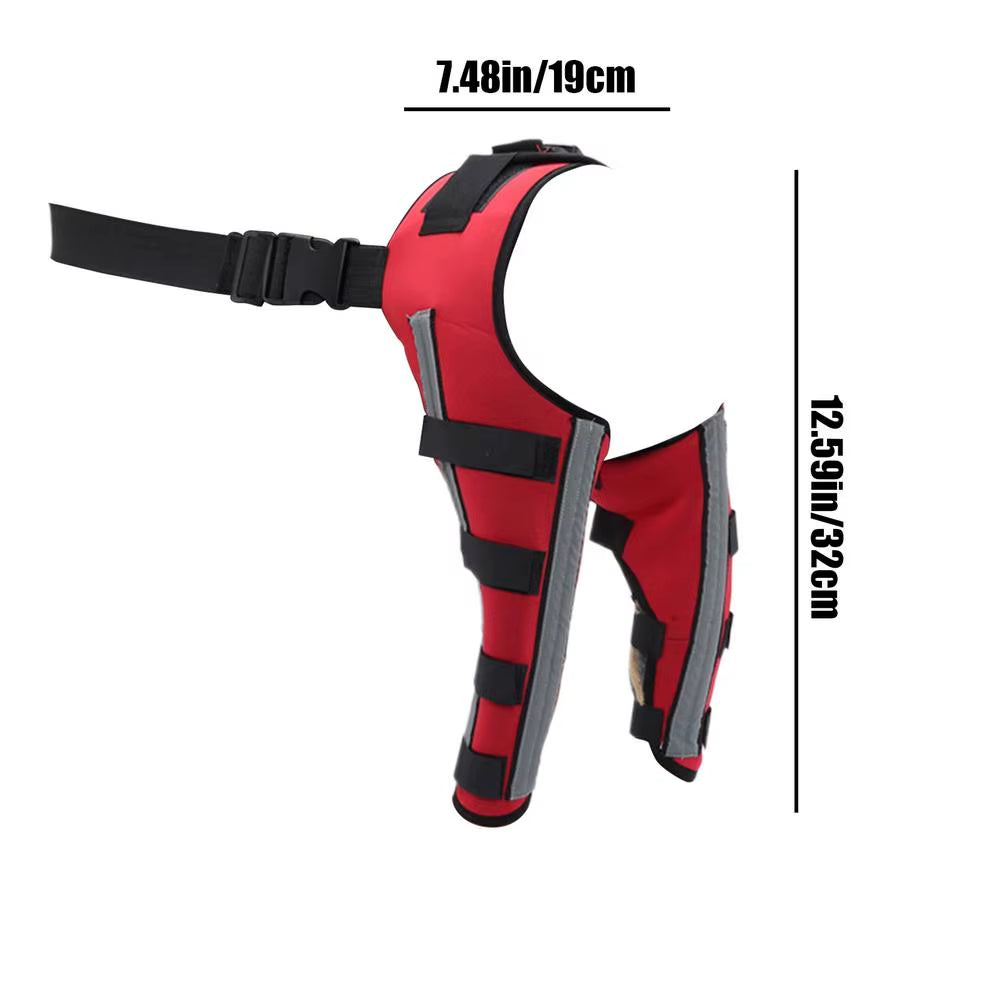 Dog Rear Leg Support Brace