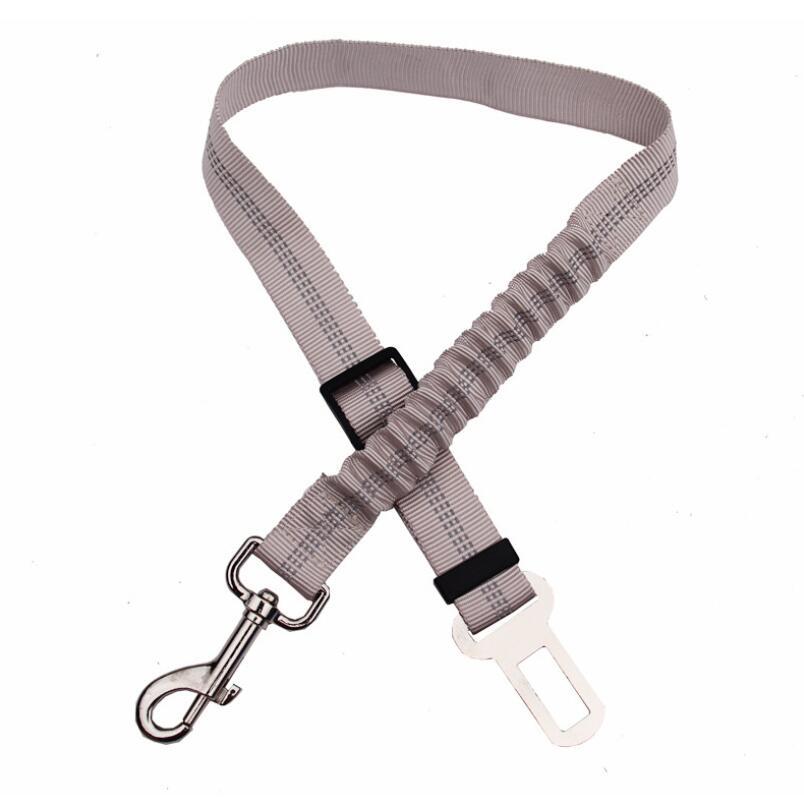 SafeRide™ Car Leash