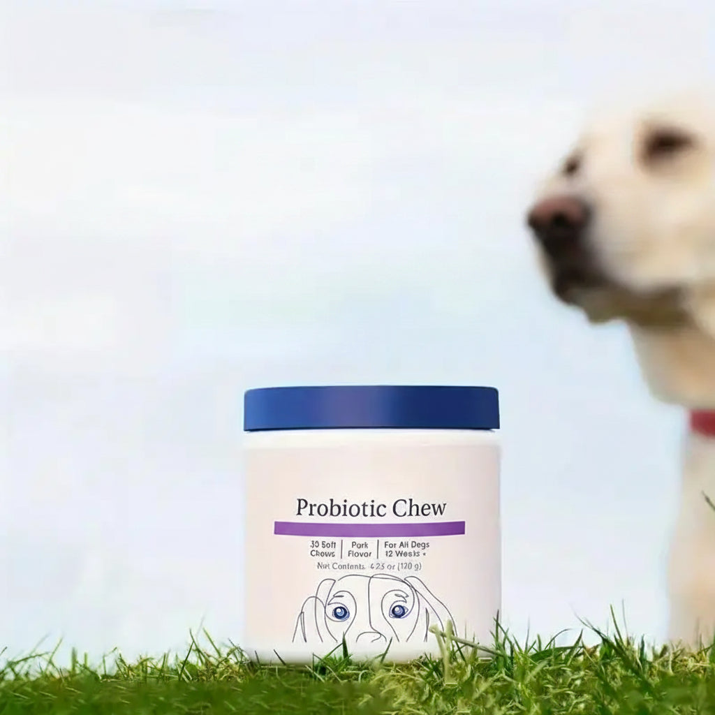Dog Probiotic Digestive Chews