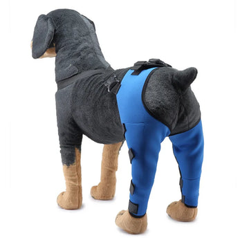 Adjustable Dog Rear Leg Support Brace