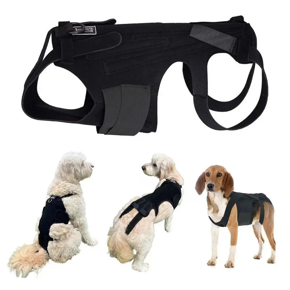 Adjustable Dog Back Support Vest