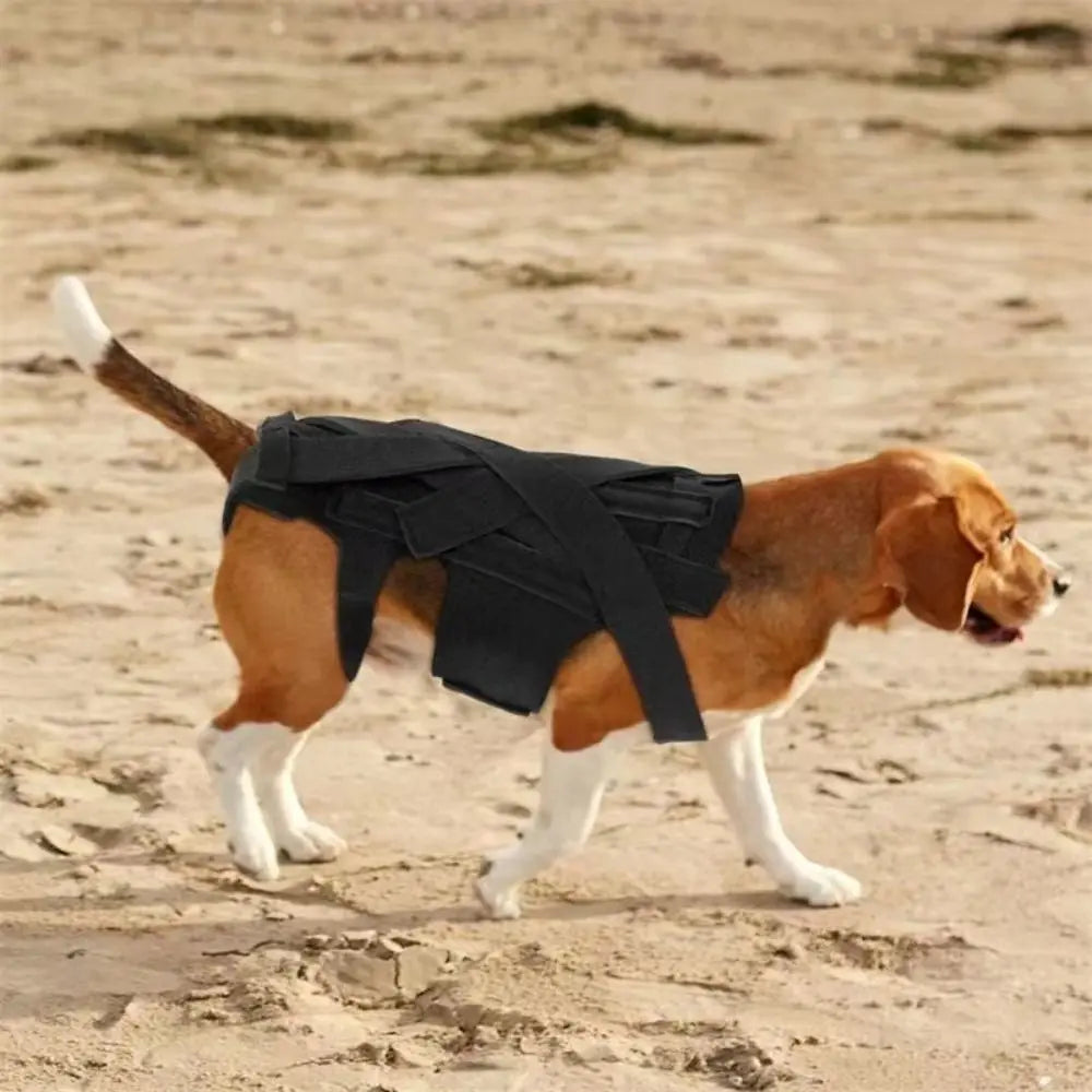 Adjustable Dog Back Support Vest