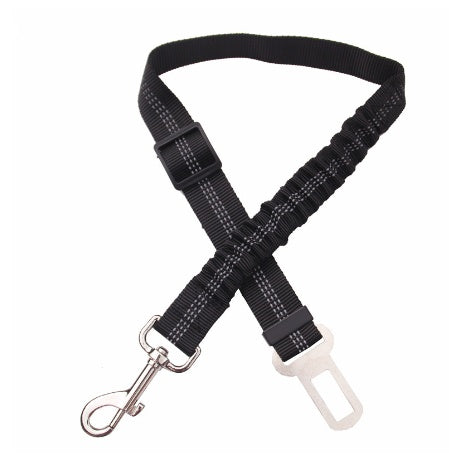 SafeRide™ Car Leash