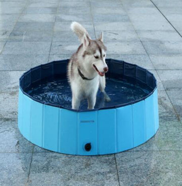 SplashFold™ Pet Pool