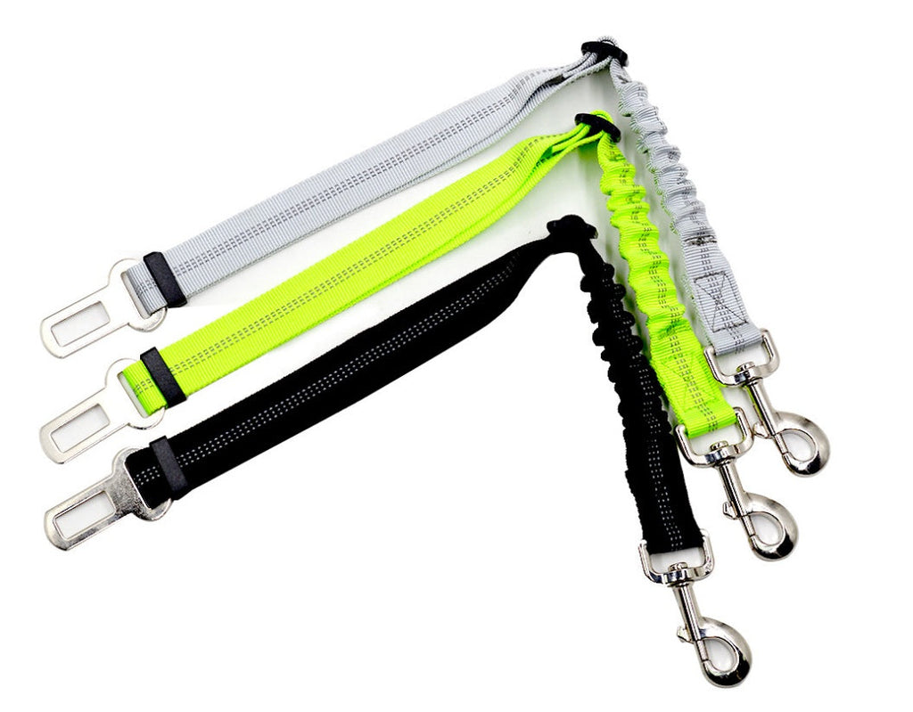 SafeRide™ Car Leash