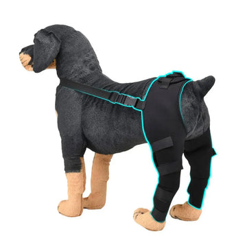 Adjustable Dog Rear Leg Support Brace