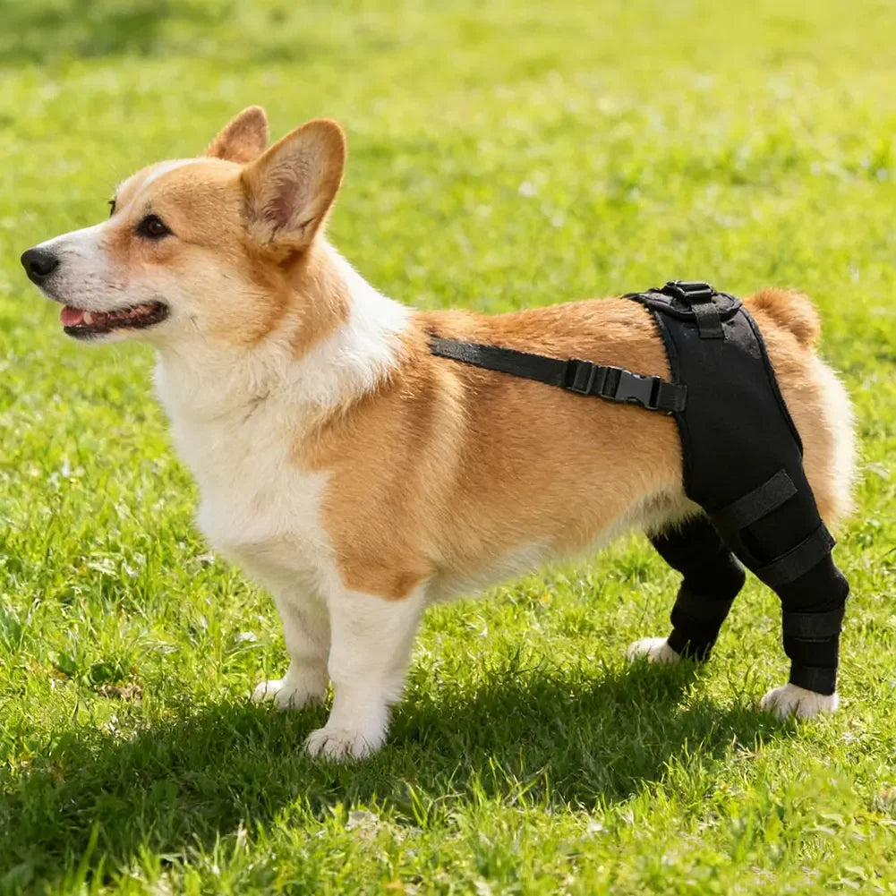 Adjustable Dog Rear Leg Support Brace