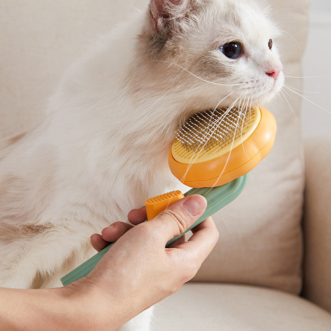 PumpkinGlow™ Grooming Comb