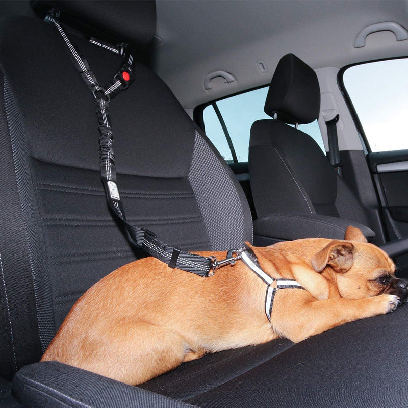 SafeRide™ Car Leash