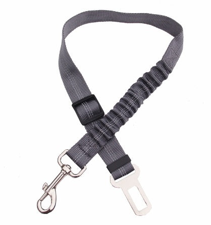 SafeRide™ Car Leash