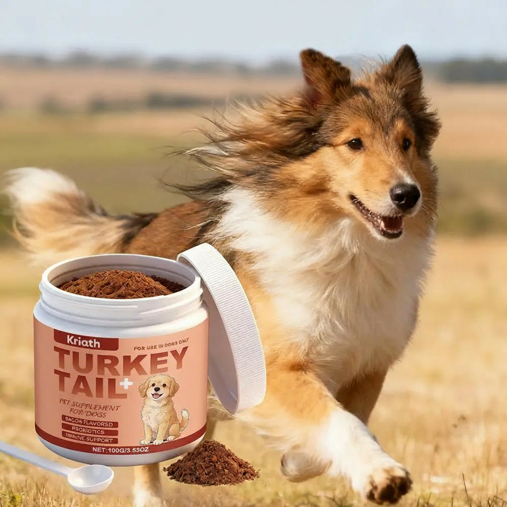 Dog Immune Support Powder