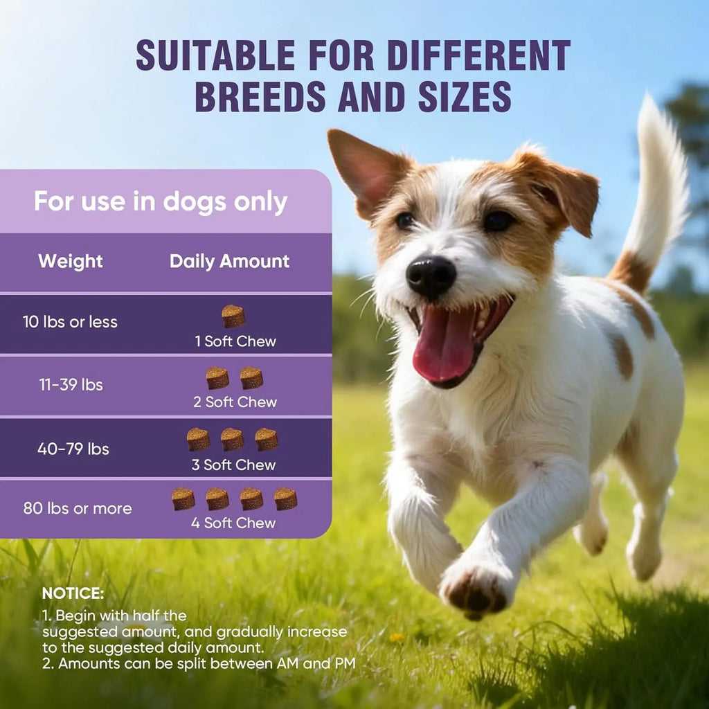 Dog Hip & Joint Support Chews