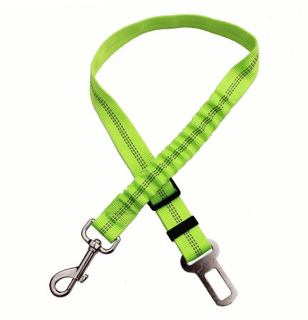 SafeRide™ Car Leash