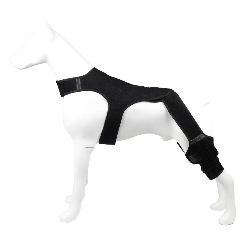 Dog Rear Leg Support Brace