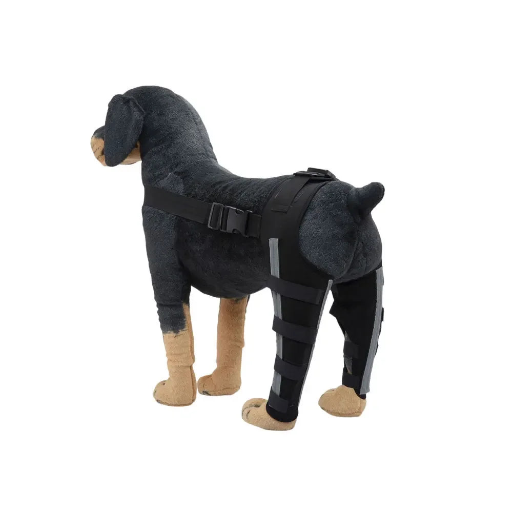 Adjustable Dog Rear Leg Support Brace