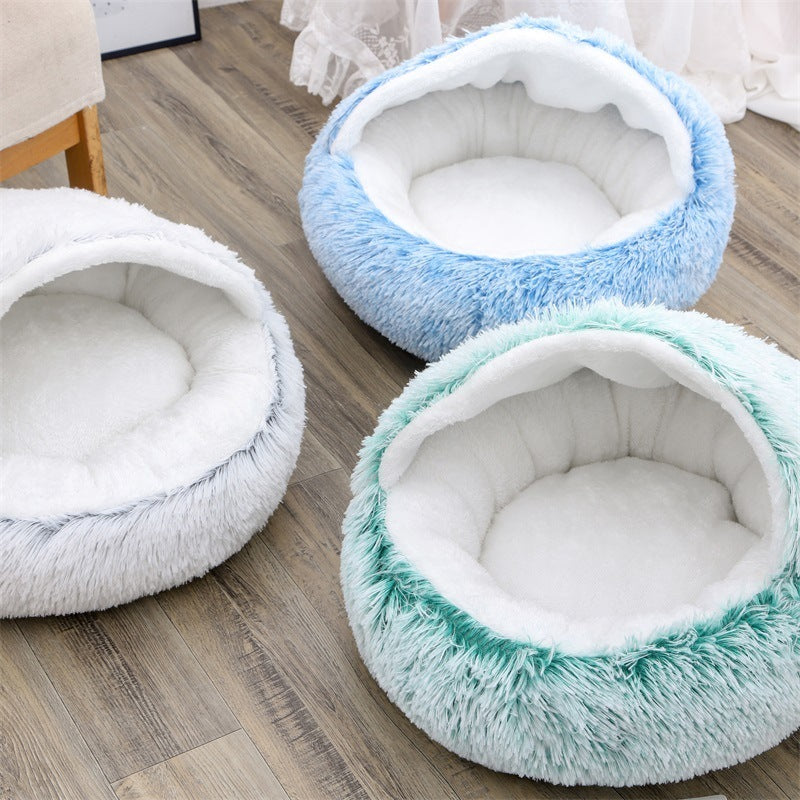 DreamCloud™ Plush Bed