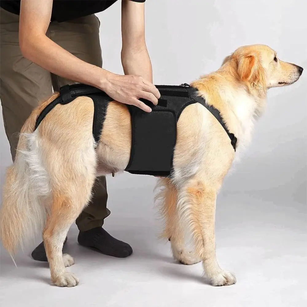 Adjustable Dog Back Support Vest