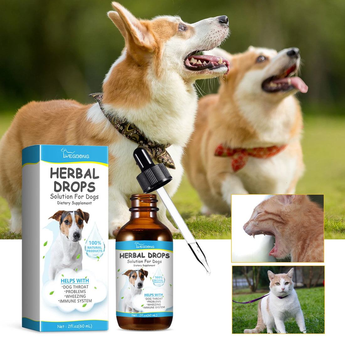 Dog Respiratory Support Herbal Drops