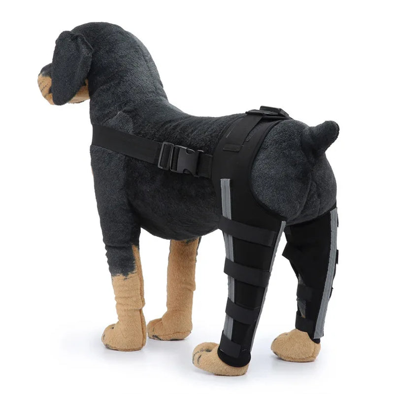 Adjustable Dog Rear Leg Support Brace