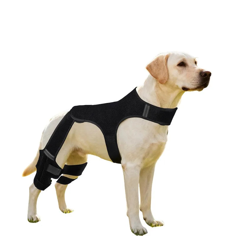 Dog Rear Leg Support Brace